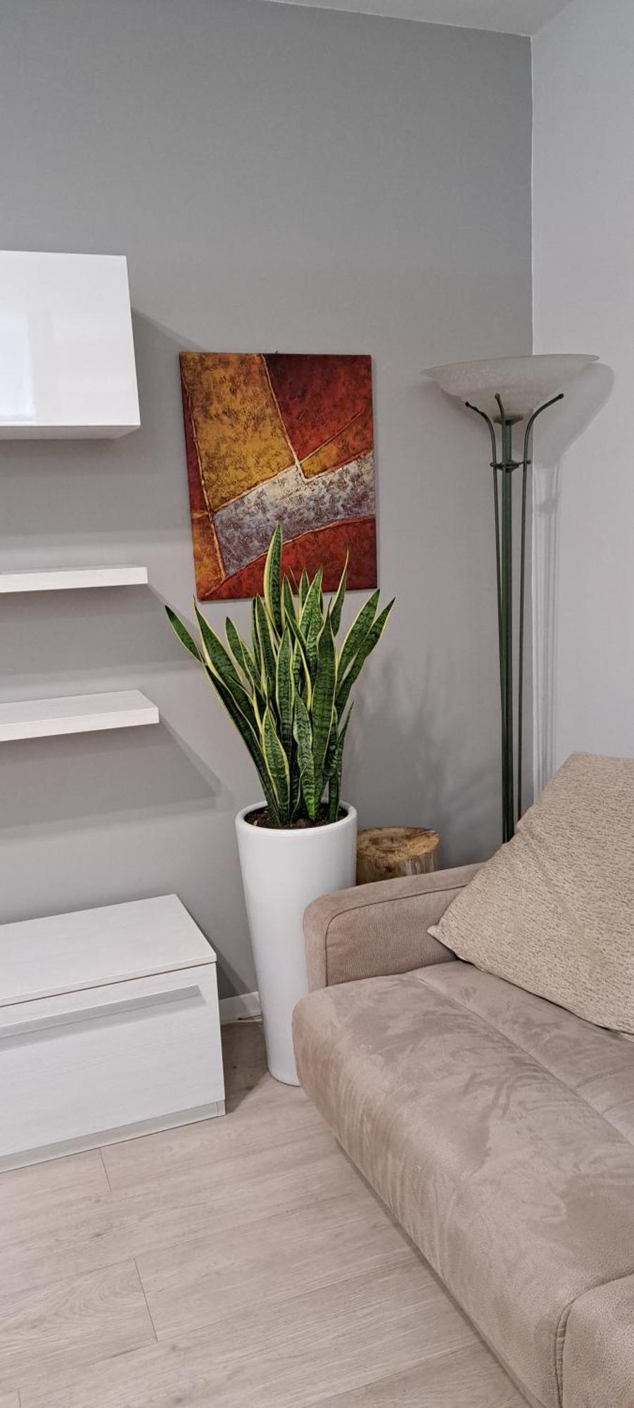 Marco Venice Apartment Ngoại thất bức ảnh
